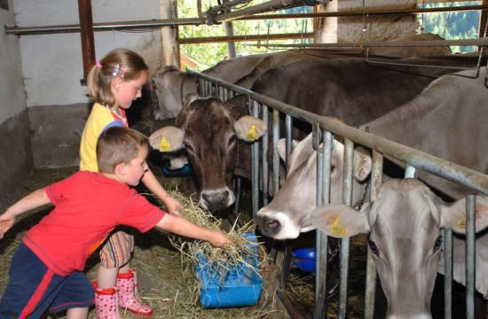 farm-holiday-stocknerhof-bressanone-south-tyrol (18)