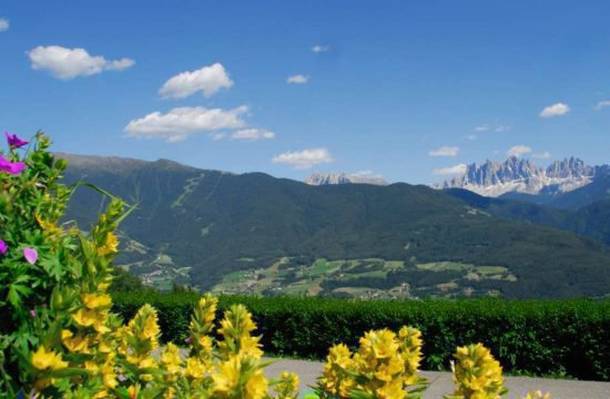 farm-holiday-stocknerhof-bressanone-south-tyrol (22)