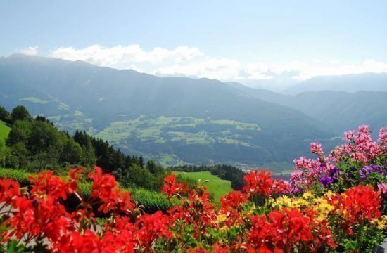 vacanza-sul-maso-stocknerhof-bressanone-alto-adige-38-1