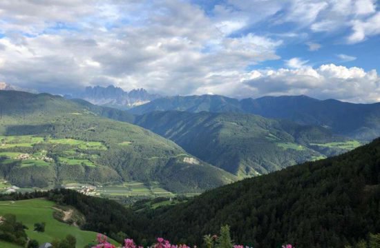 farm-holiday-stocknerhof-bressanone-south-tyrol (4)