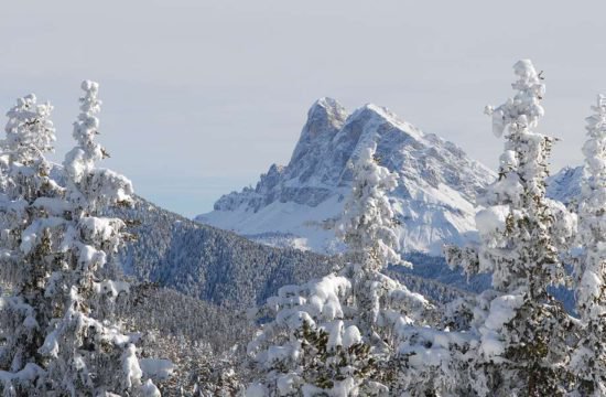 bauernhofurlaub-stocknerhof-brixen-suedtirol (42)