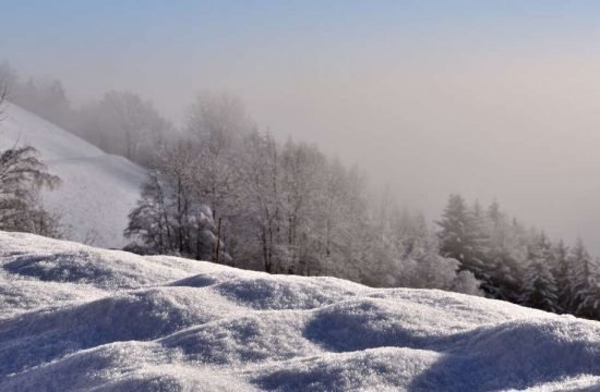 vacanza-sul-maso-stocknerhof-bressanone-alto-adige-47-1