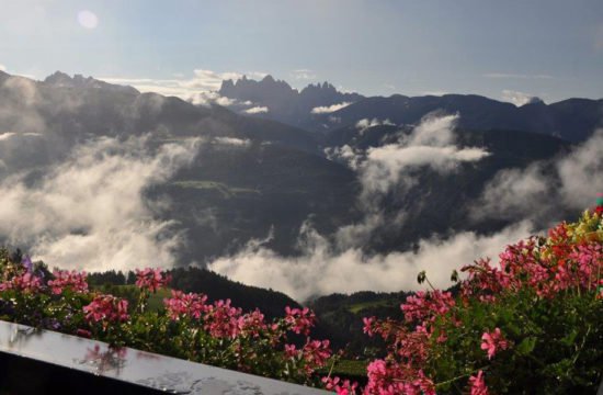 bauernhofurlaub-stocknerhof-brixen-suedtirol-(8)