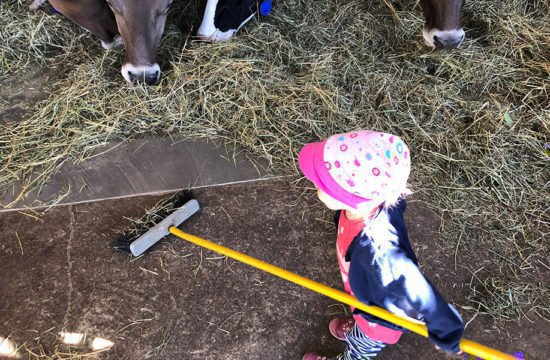 stocknerhof tiere am bauernhof 2