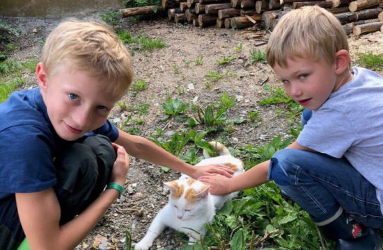 kinderferien-am-bauernhof-suedtirol-3