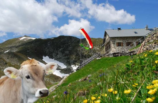 stocknerhof tiere am bauernhof (1)